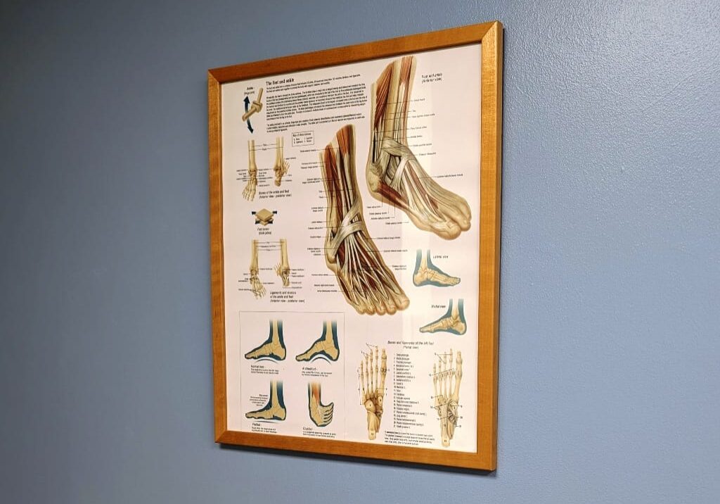 chapeltown-foot-clinic-podiatry-chiropody-sheffield-foot-poster A poster displaying information about feet